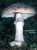 PORPHYRBRAUNER WULSTLING (AMANITA PORPHYRIA) Bild 1