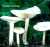 FELD-TRICHTERLING (CLITOCYBE DEALBATA) Bild 1