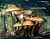 NADELHOLZHAEUBLING (GALERINA MARGINATA) Bild 1